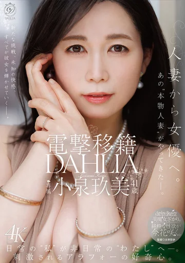 DLDSS-529