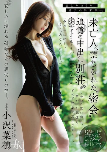 DLDSS-538