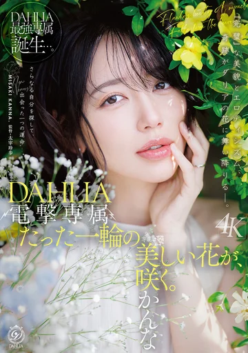 DLDSS-532