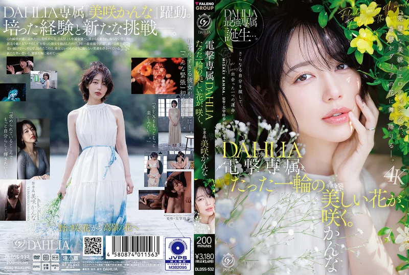 DLDSS-532